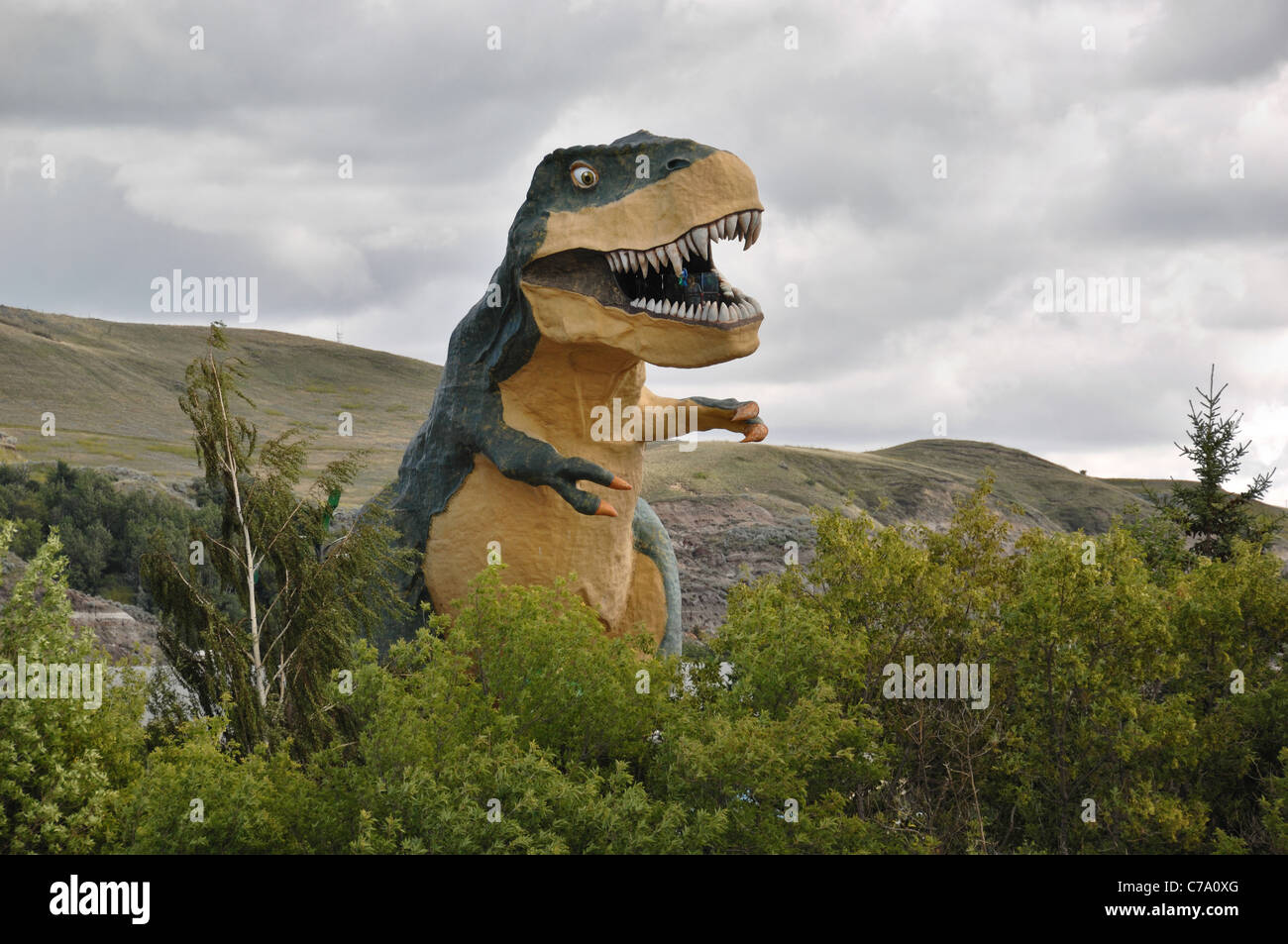 Un grand Tyrannosaurus rex situé à Drumheller, Alberta, Canada. Banque D'Images