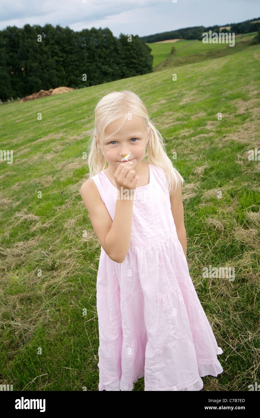 Girl smelling a fleurs en été, enfant, enfants, Eyendorf, Basse-Saxe, Allemagne, Europe Banque D'Images
