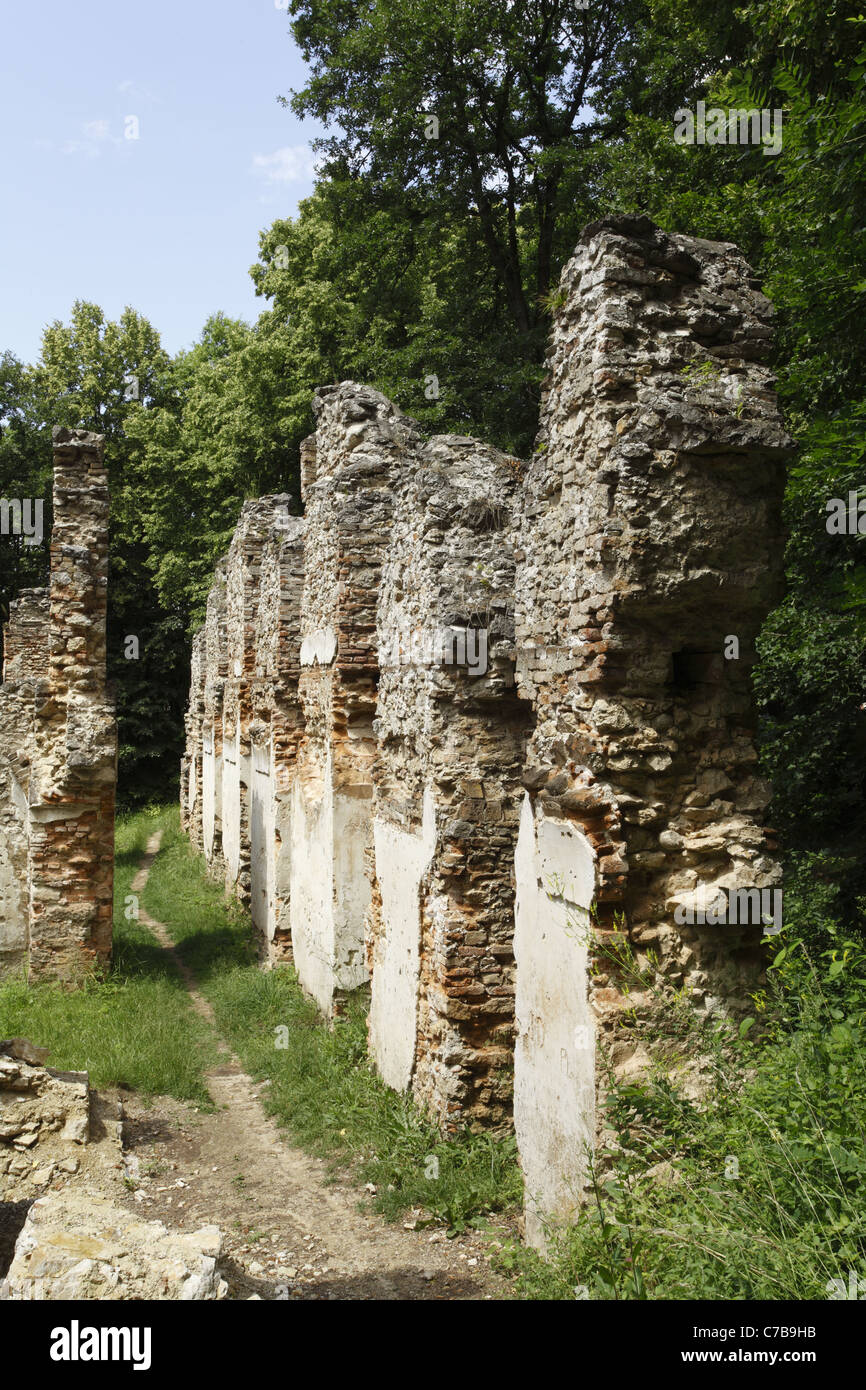 Les ruines de monastère franciscain médiéval déserté dédiée à Sainte Catherine d'Alexandrie dans petites Karpates, la Slovaquie. Banque D'Images