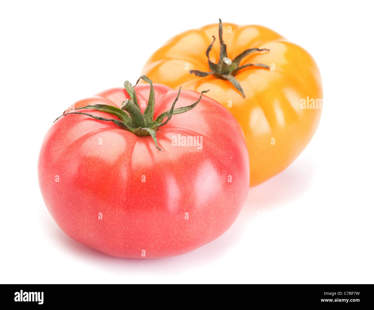 Grand frais légumes tomate sur fond blanc Banque D'Images