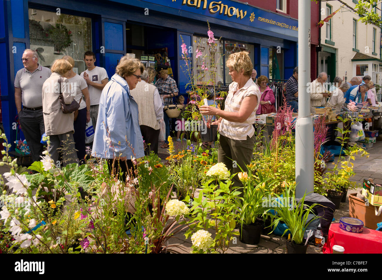 Femelle adulte parle de retarder la vente de plantes de jardin Porte-plantes attrayantes, en premier plan, les clients sont occupés en arrière-plan. Banque D'Images