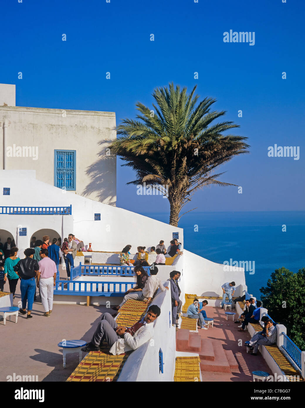 Sidi Bou Saïd, Tunisie, Afrique du Nord, le café Sidi Chabaane, café des délices, les gens en terrasse, palmier, mer Méditerranée, Banque D'Images