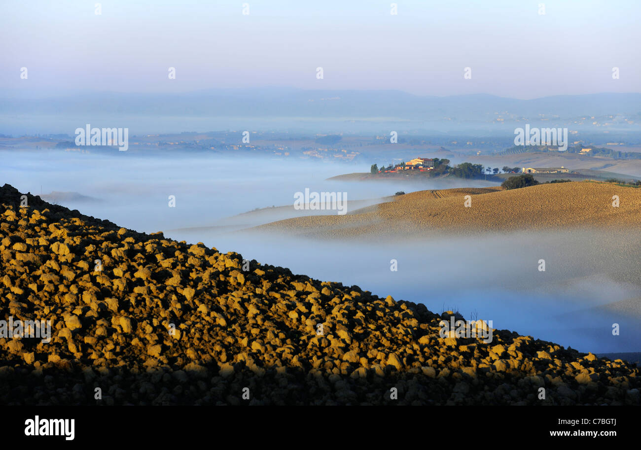 Paysage vallonné dans le brouillard, la Crète, Toscane, Italie, Europe Banque D'Images
