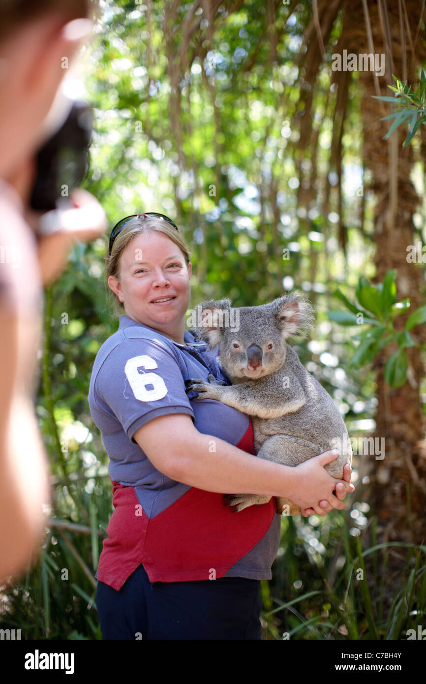 Les touristes détenteurs d'un koala Koala Bay Bungalow à Horseshoe Bay Village northcoast de Magnetic island Great Barrier Reef Marine Park Banque D'Images