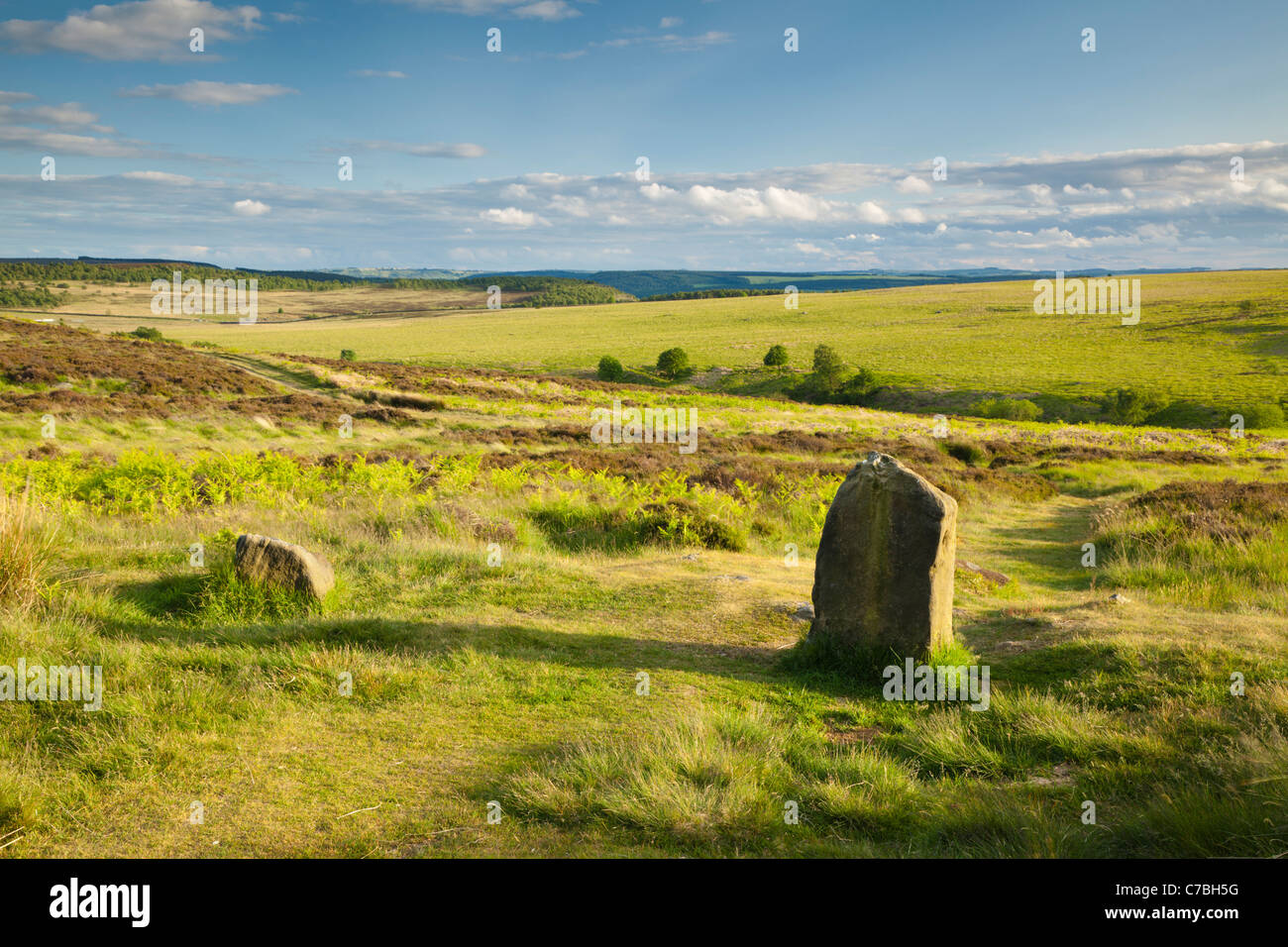 Barbrook 1 Stone Circle, Big Moor, Derbyshire, parc national de Peak District, England, UK Banque D'Images