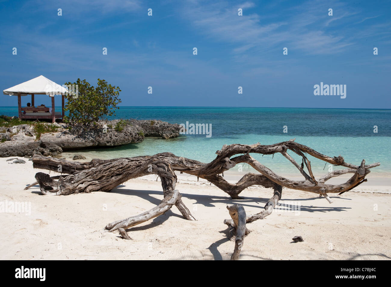 Bois flotté sur la plage et beach pavilion, le Paradisus Rio de Oro resort, Playa Esmeralda, Guardalavaca, Holguin, Cuba Banque D'Images