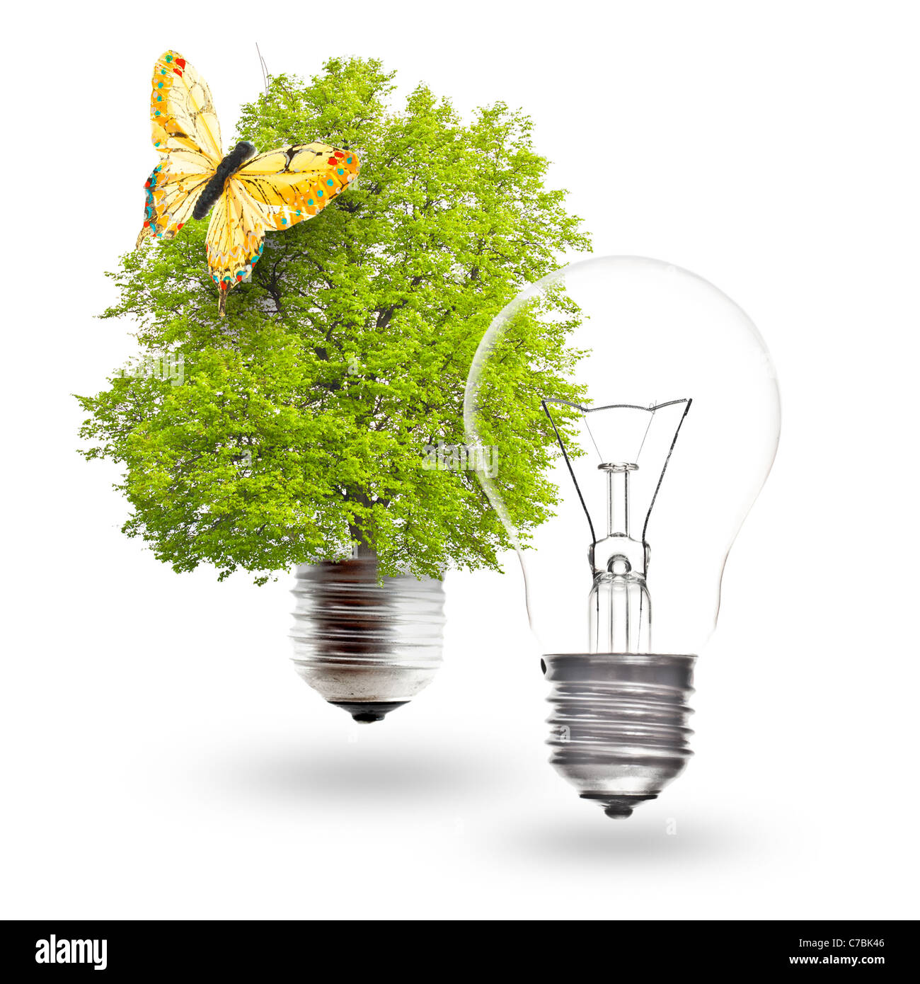 L'ampoule électrique et ampoule verte avec papillon sur un fond blanc. Le concept d'énergie renouvelable. Banque D'Images