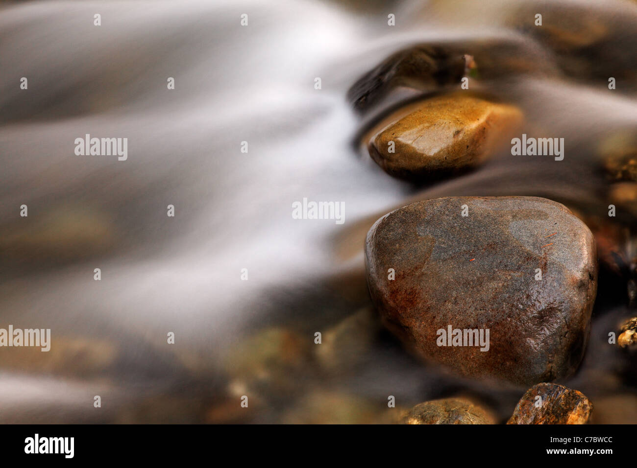 L'eau qui coule sur les pierres dans la rivière Elwah, Olympic National Park, Washington Banque D'Images