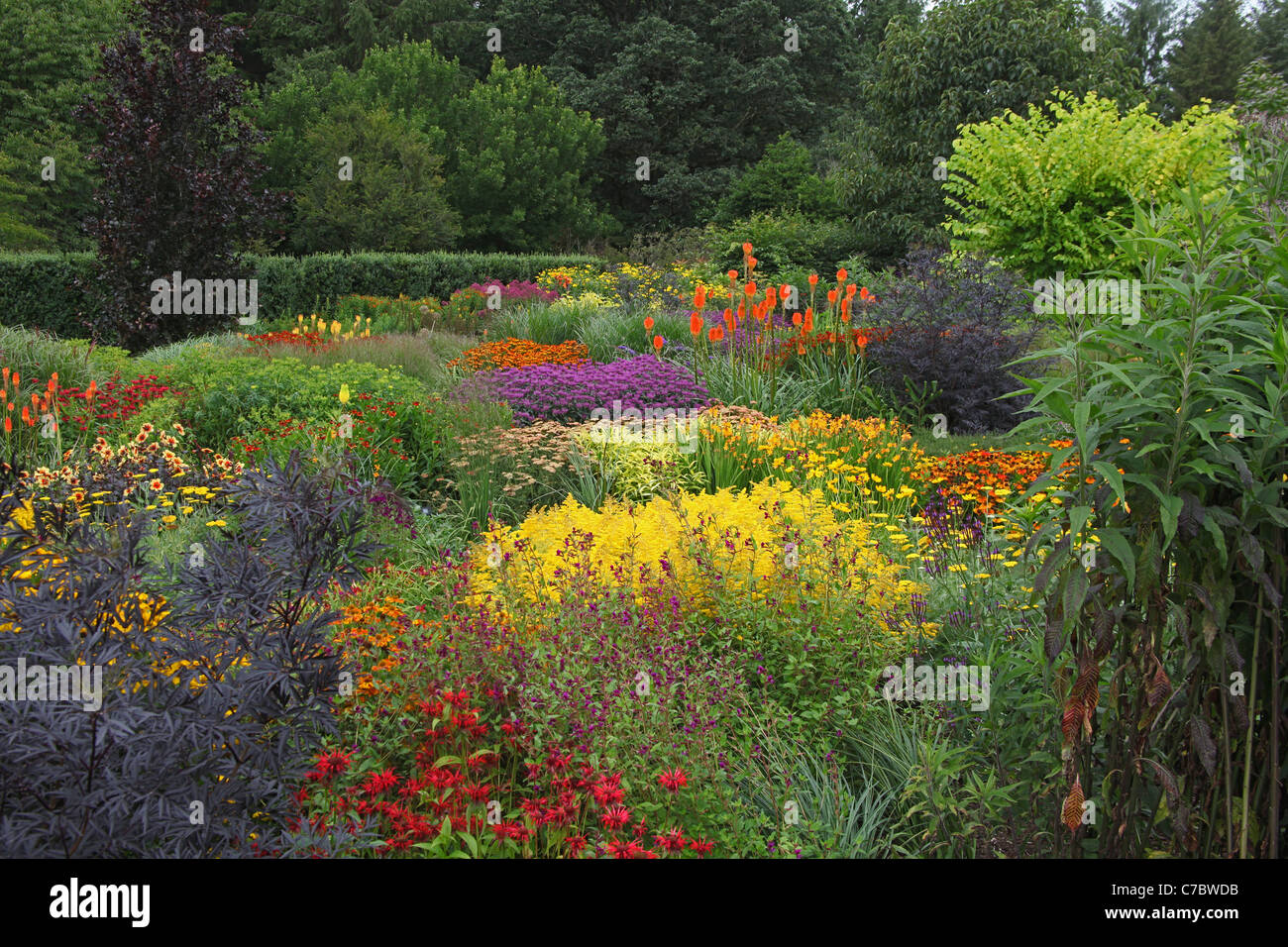 Le jardin chaud dans la Royal Horticultural Society Gardens at Rosemoor près de Great Torrington, Devon, England, UK Banque D'Images