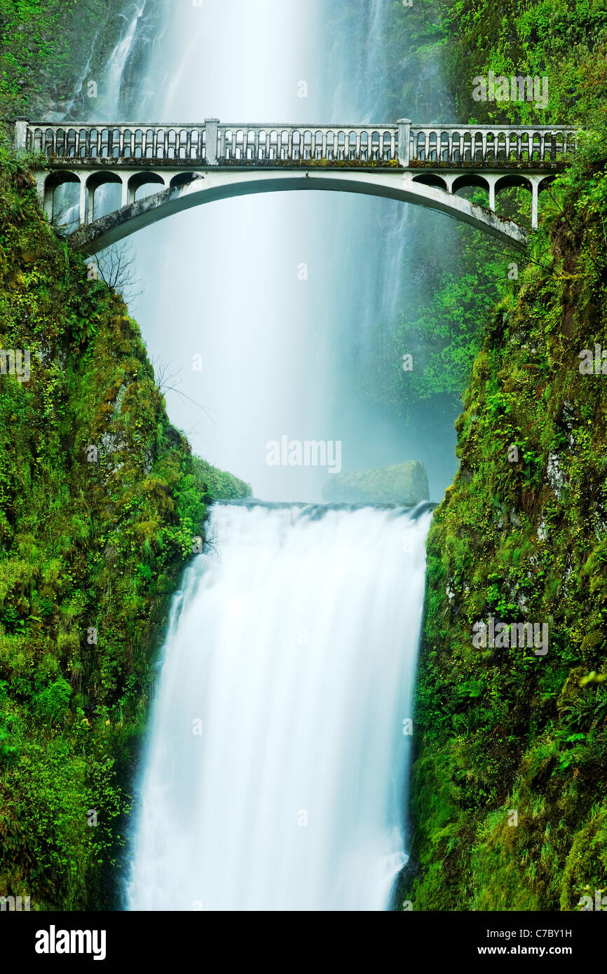 Chutes de Multnomah et pont, Columbia River Gorge National Scenic Area, Oregon, USA Banque D'Images