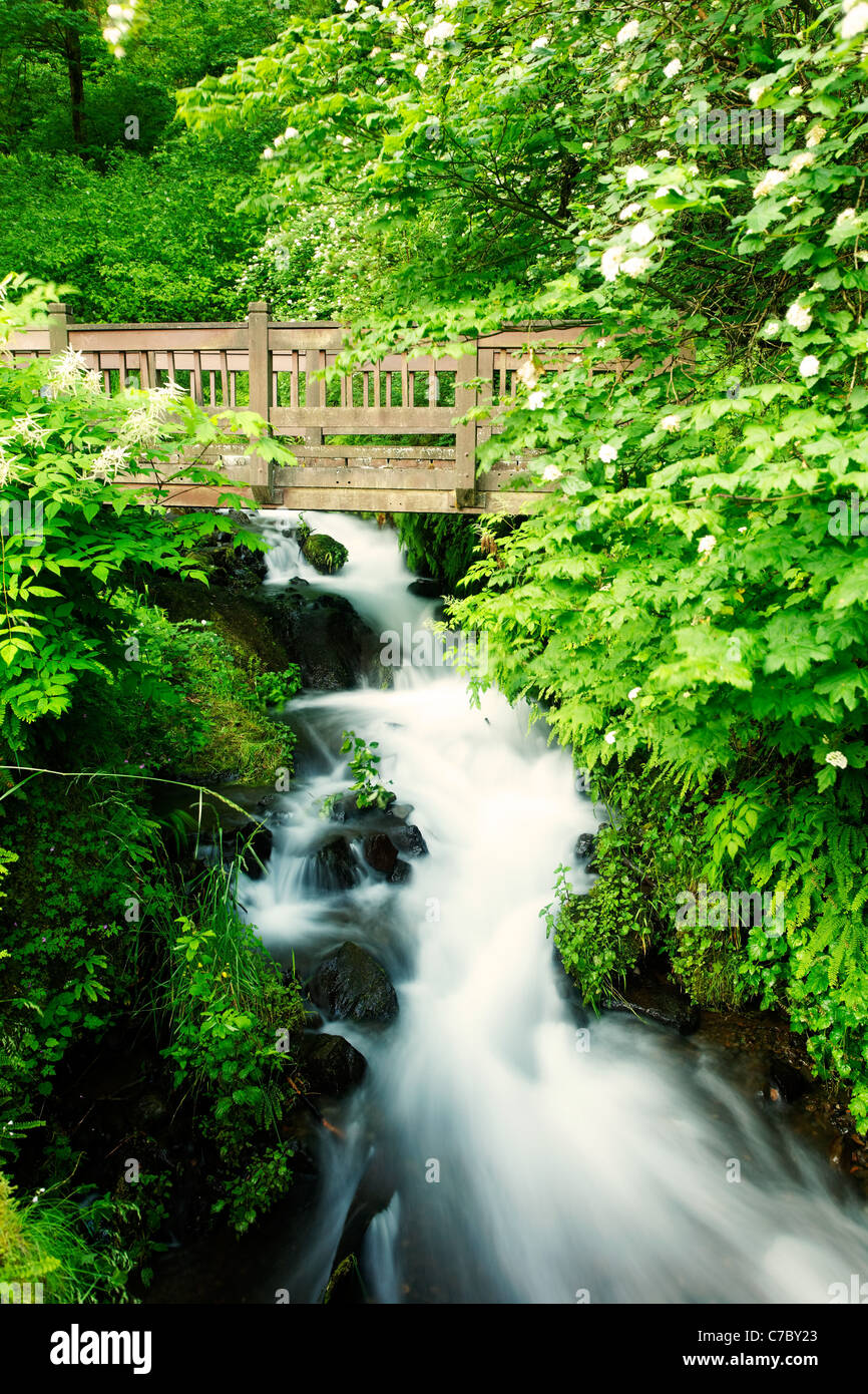 Pont sur Waheena Creek, Columbia River Gorge National Scenic Area, Oregon, USA Banque D'Images