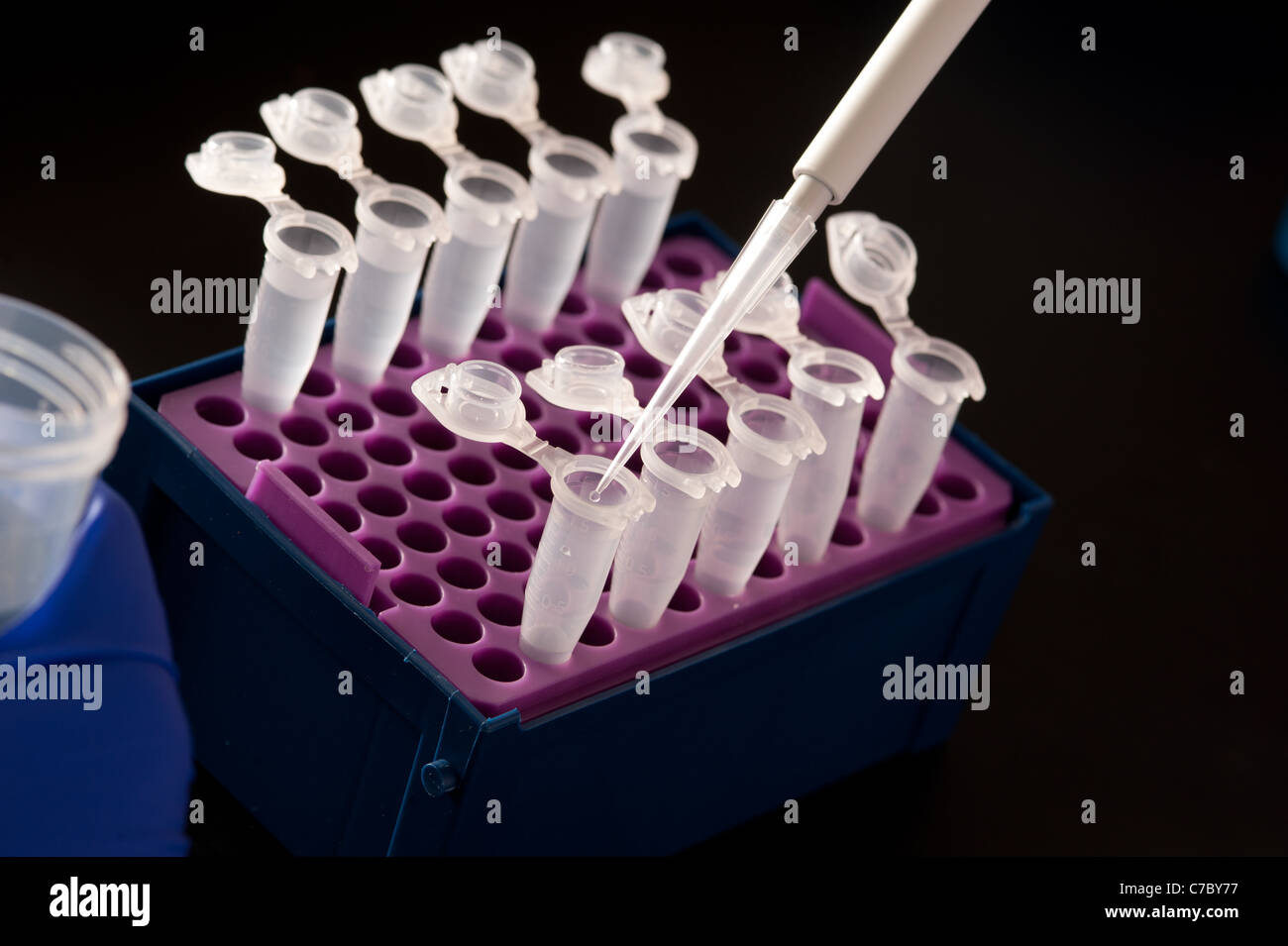 Tubes à essai dans un laboratoire scientifique d'expérimentation Banque D'Images