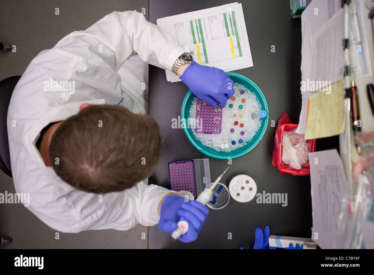 Faire une expérience scientifique dans un laboratoire Banque D'Images