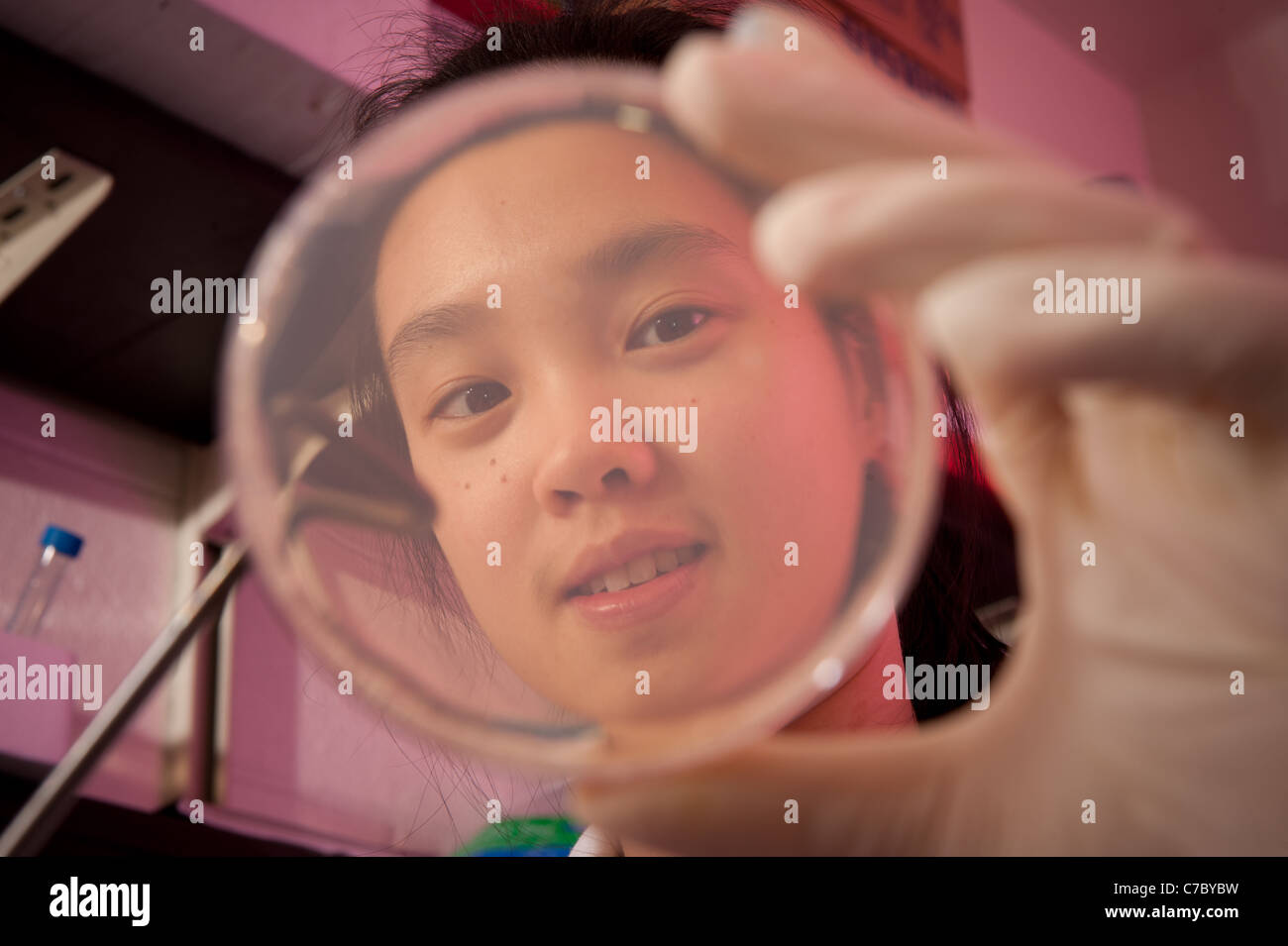 Scientist examining petri dish Banque D'Images