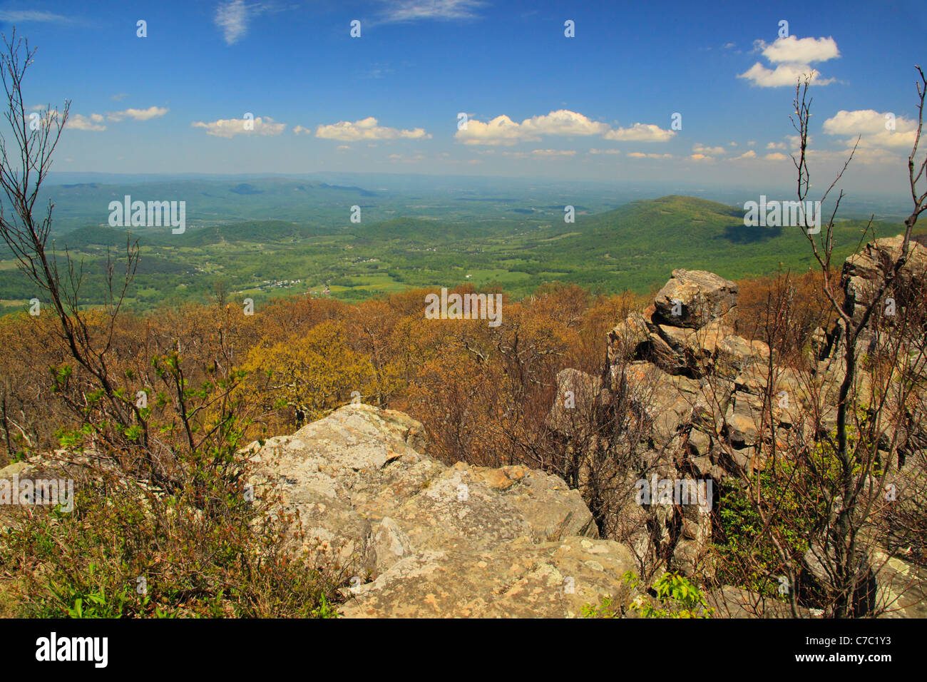 Vue du sentier des Appalaches, Mount Marshall Nord, Shenandoah National Park, Virginia, USA Banque D'Images