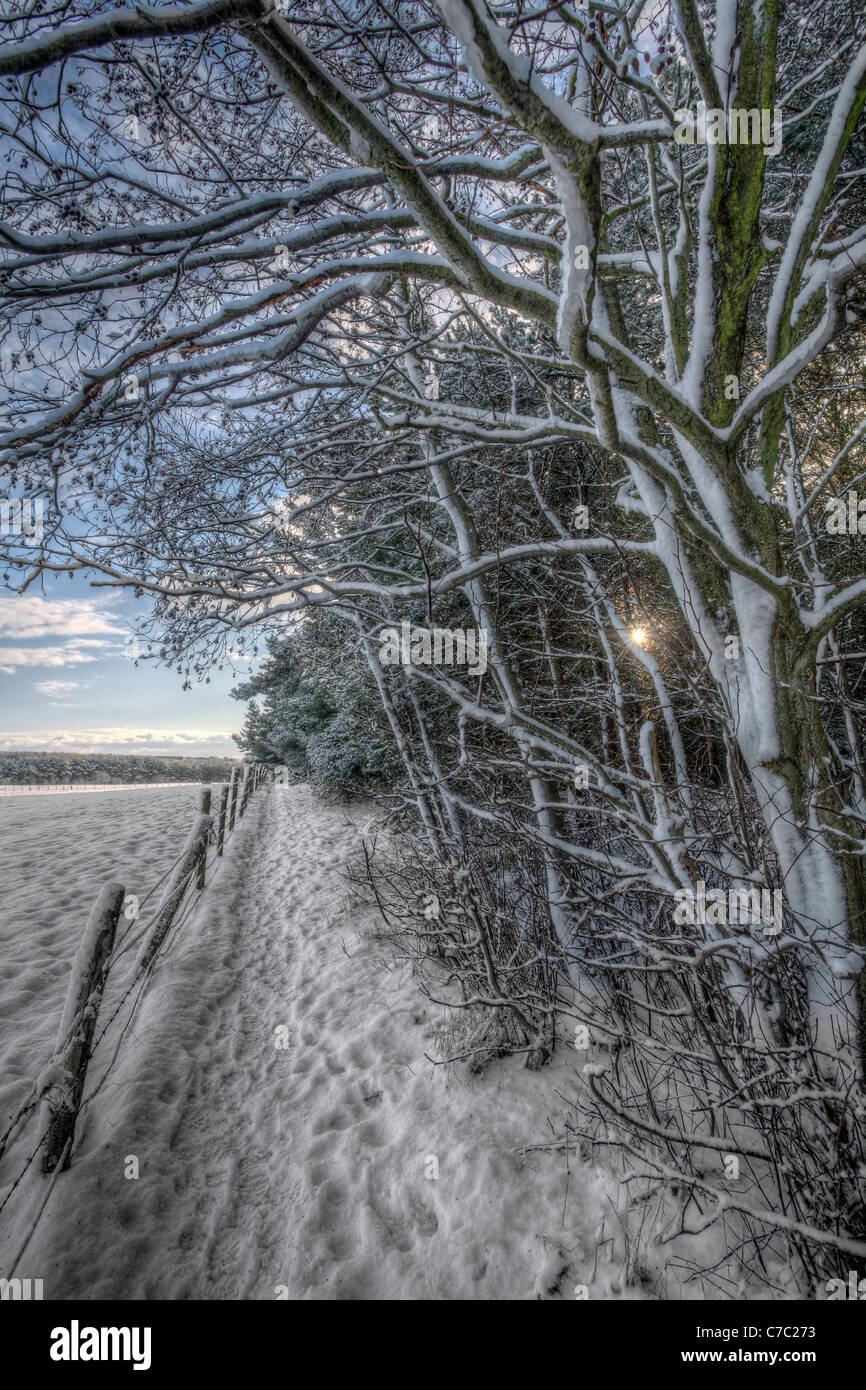 Un sentier couvert de neige entre champs et forêt en milieu rural County Durham. Banque D'Images