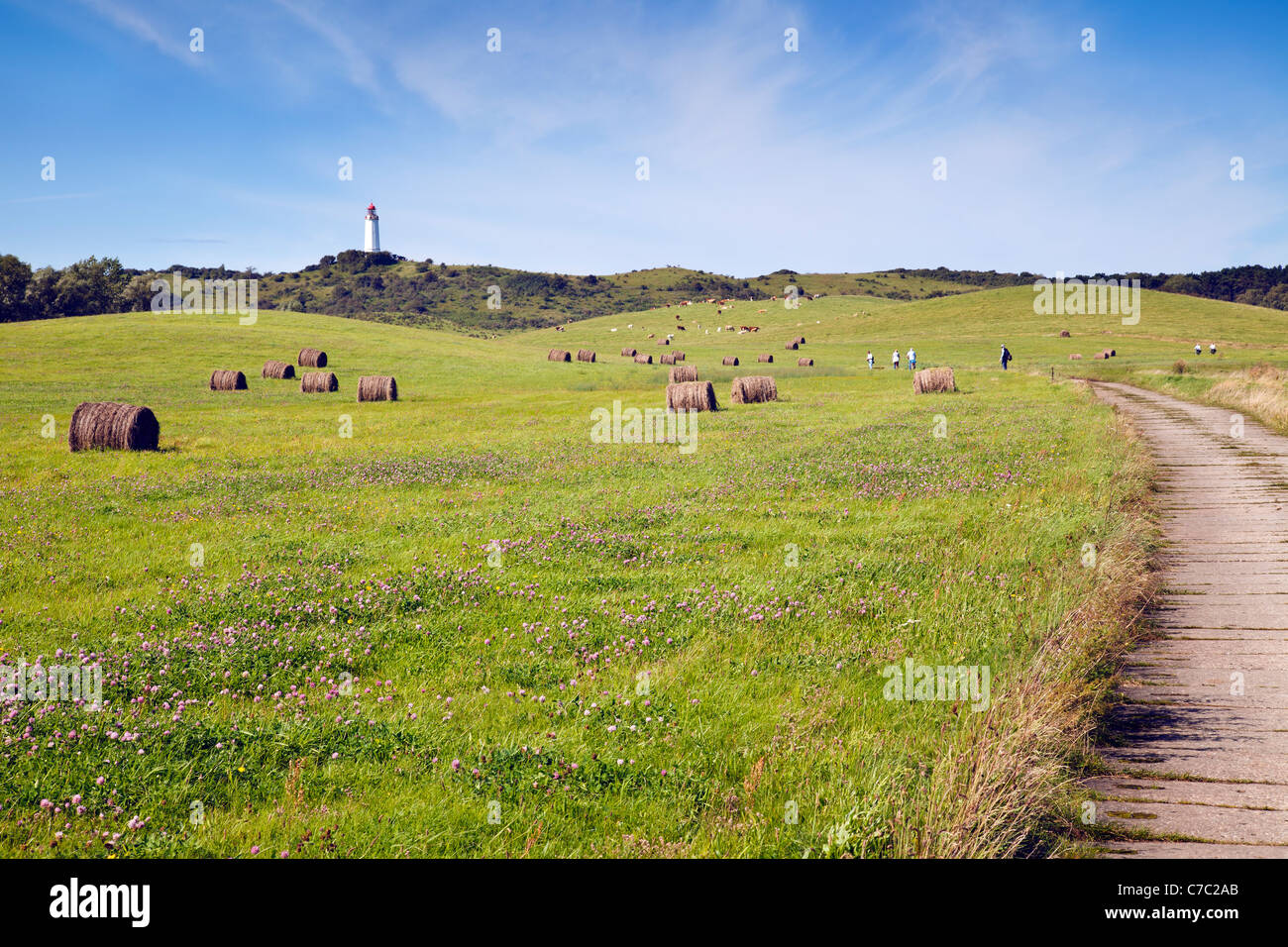 Hiddensee rural avec le Schluckswieck phare Dornbusch sur Hill, Hiddensee, Mecklenburg Vorpommern, Allemagne Banque D'Images
