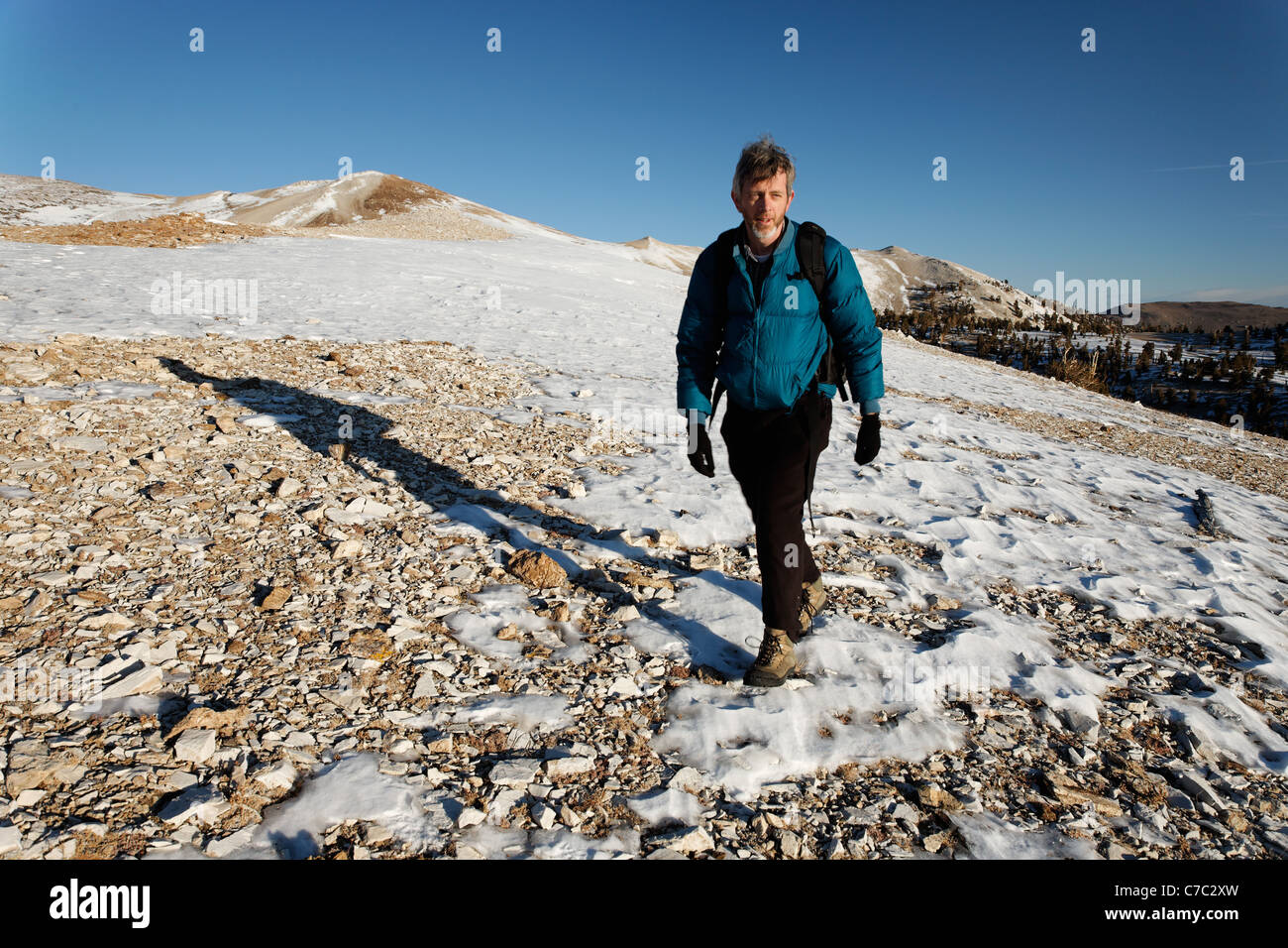 Male hiker dans les Montagnes Blanches, Inyo National Forest, Montagnes Blanches, California, USA Banque D'Images