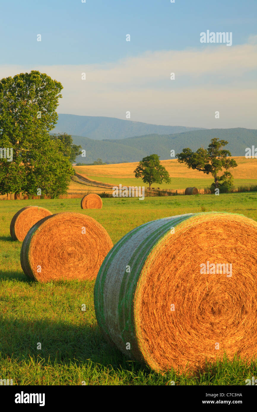 Bottes de foin et ferme, Swoope, vallée de Shenandoah, en Virginie, USA Banque D'Images