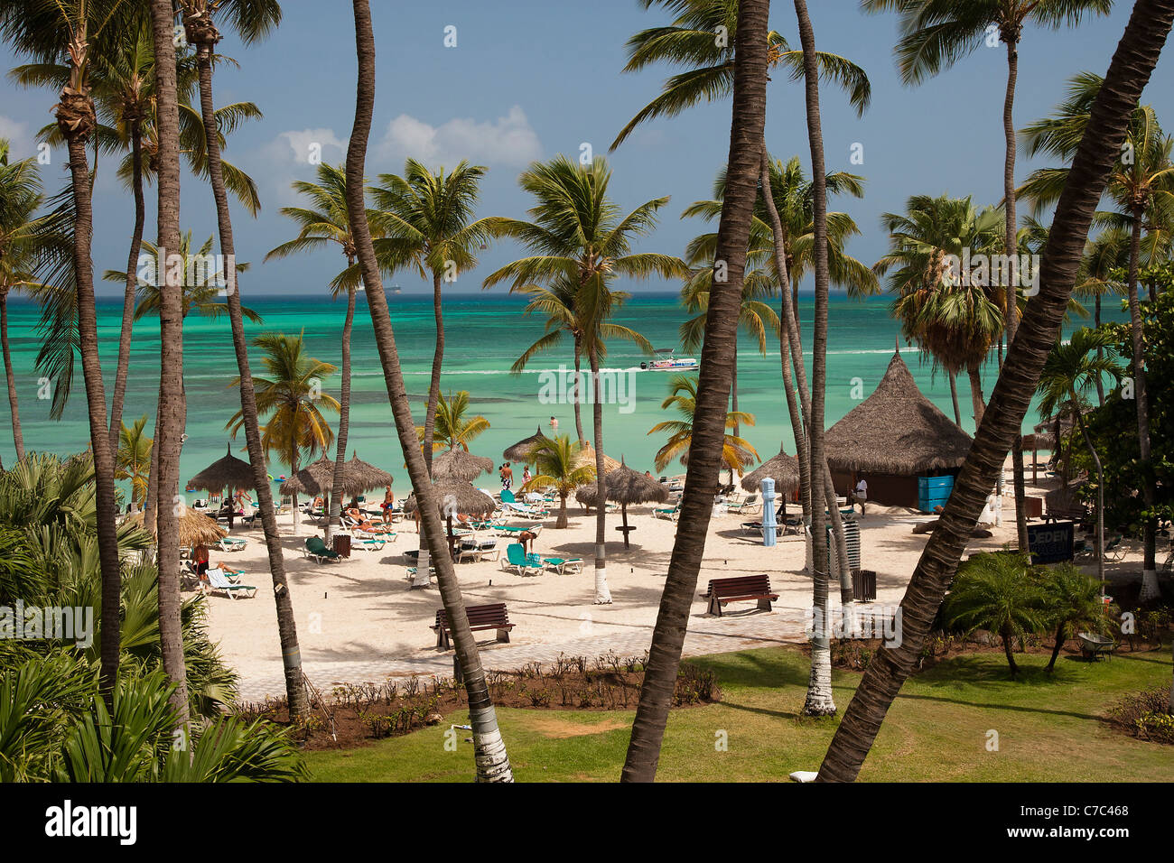 Portrait de Palm Beach, Aruba, Antilles néerlandaises, montrant une plage de sable blanc, soleil baigneurs, claire de la mer turquoise et des palmiers Banque D'Images Portrait de Palm Beach, Aruba, Antilles néerlandaises, montrant une plage de sable blanc, soleil baigneurs, claire de la mer turquoise et des palmiers Banque D'Images