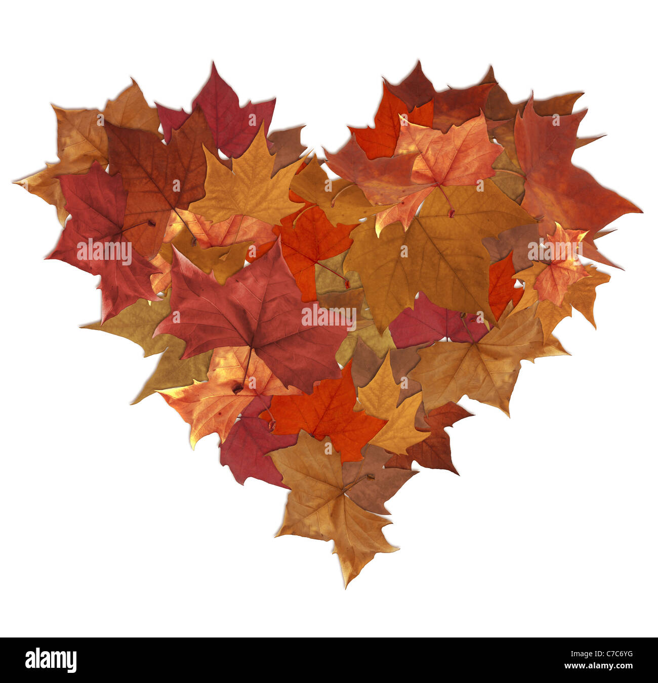 Feuille d'automne lot en forme de coeur sur fond blanc Banque D'Images
