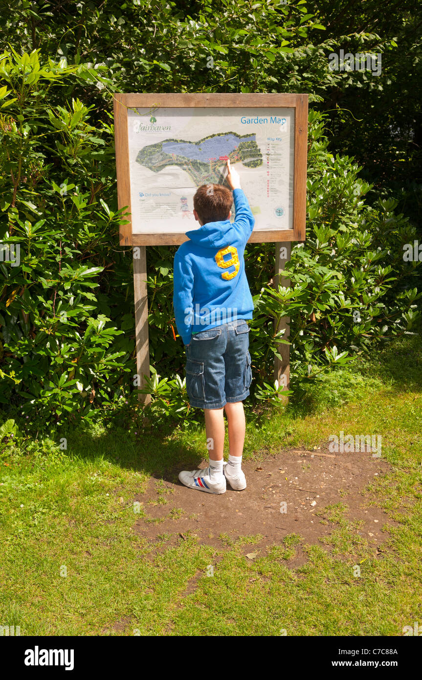 Un garçon de onze ans la lecture de la carte à Fairhaven woodland et jardin d'eau dans la région de South Walsham Norfolk , , Angleterre , Royaume-Uni Banque D'Images