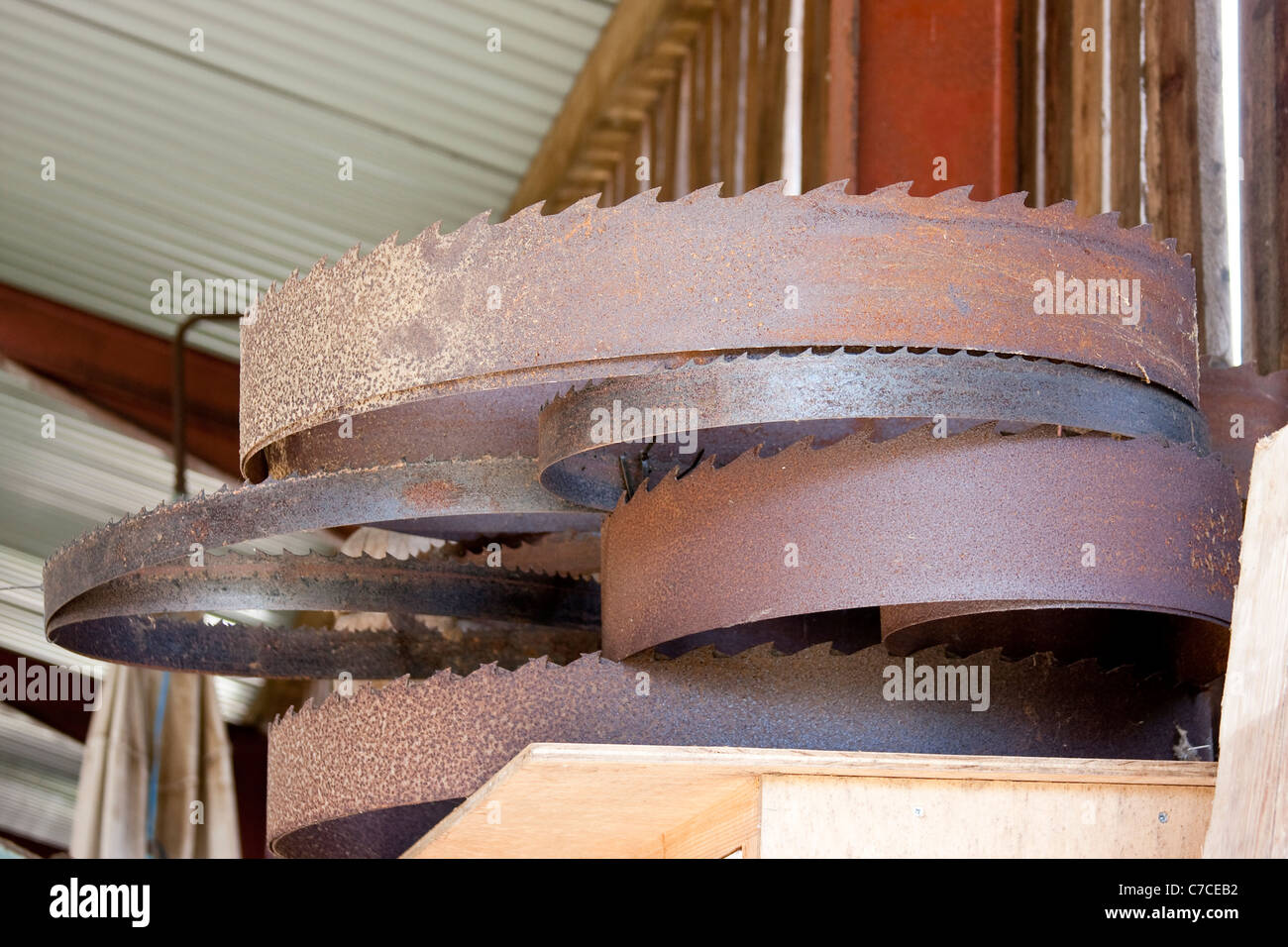 Scie à bois Les lames circulaires Rusty tas avec des dents pointues Banque D'Images
