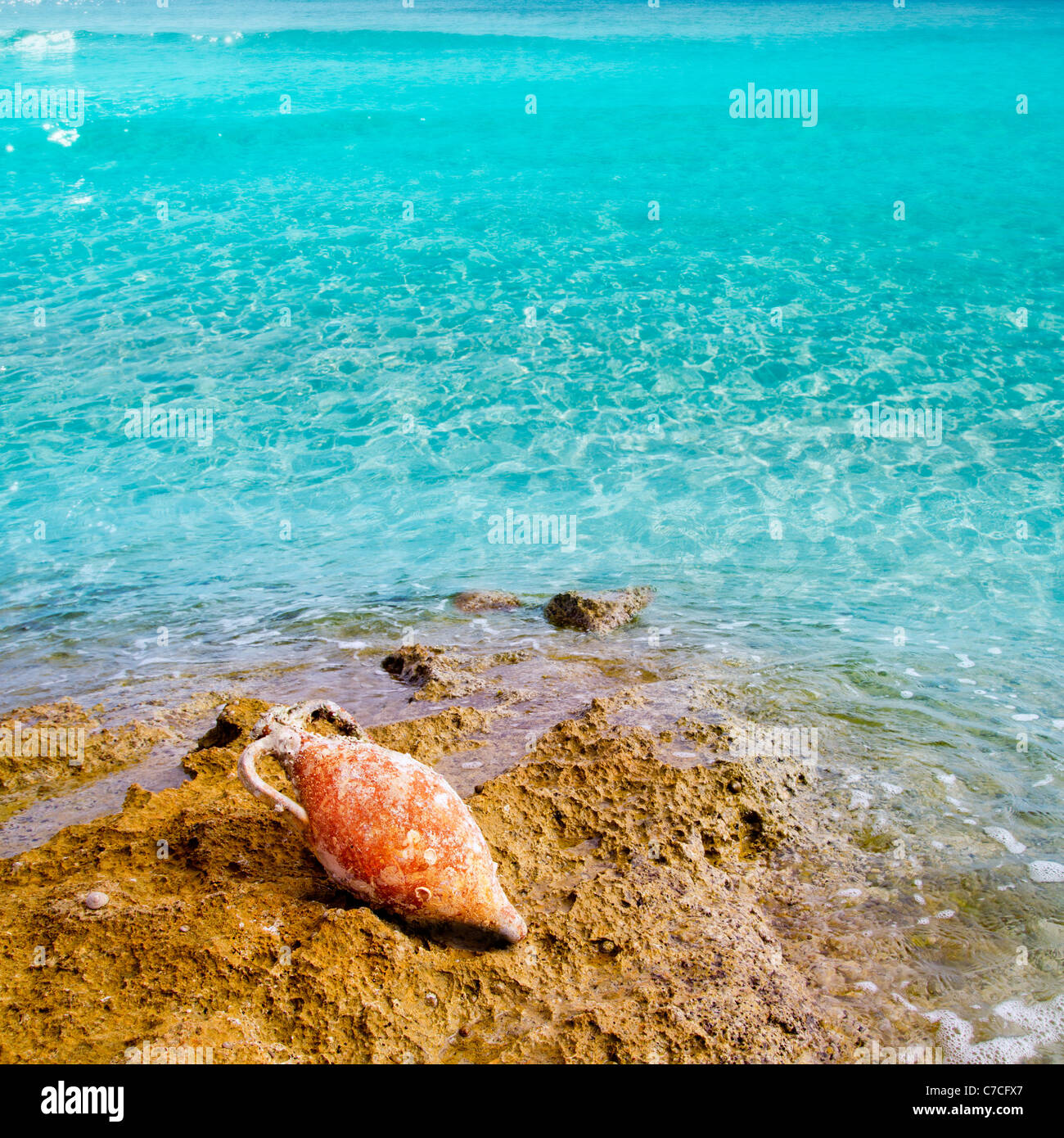 Poterie argile romaine amphore avec salissures marines en Méditerranée rock beach Banque D'Images
