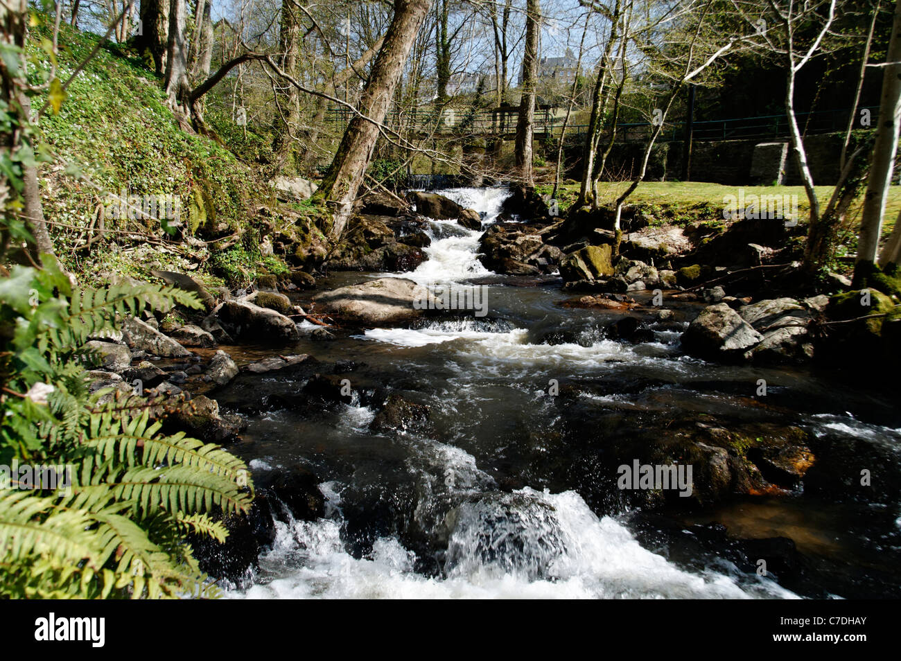 Rivière La sée (Mortain, Manche, Normandie, France). Banque D'Images