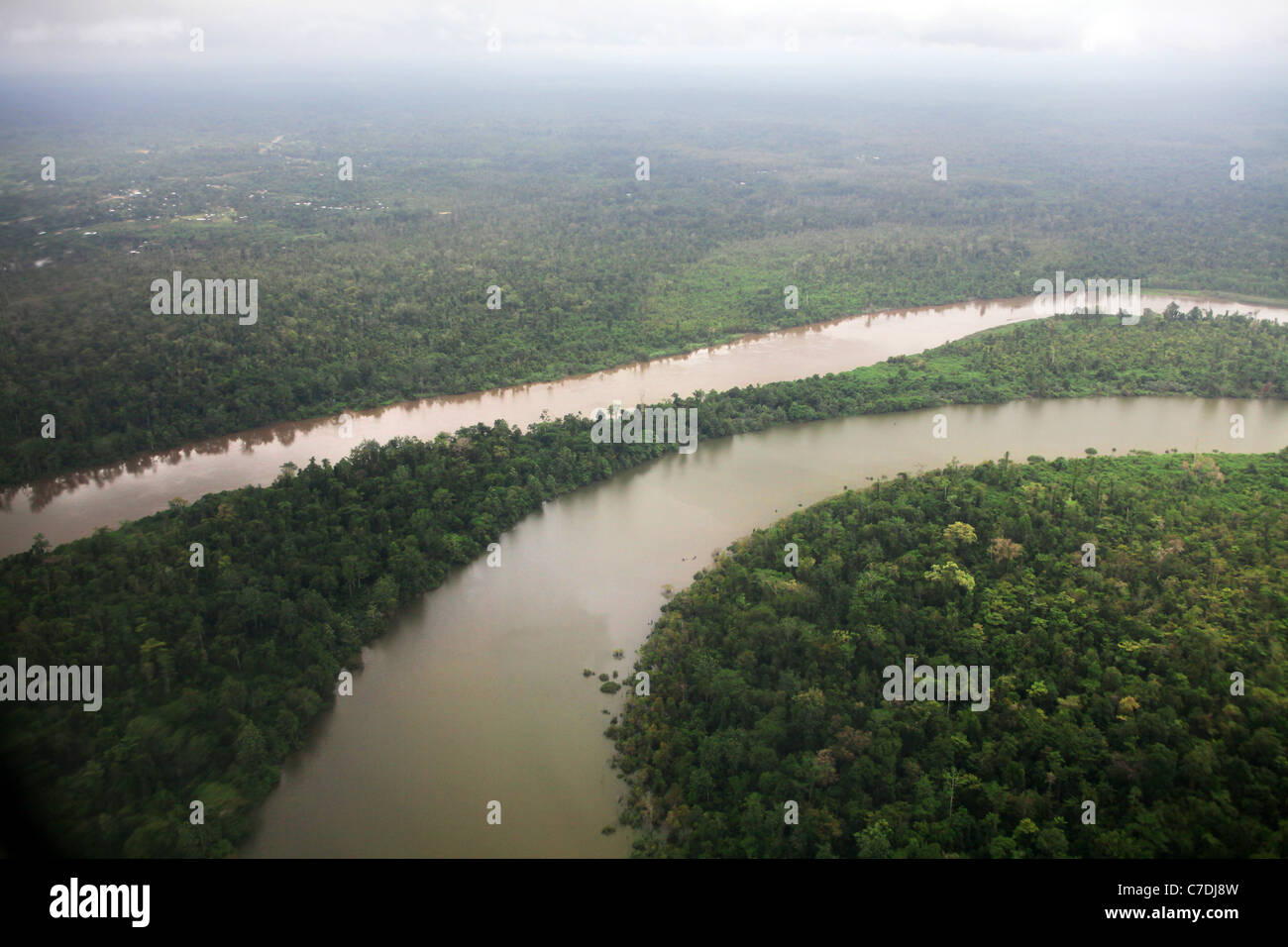 Fly River, rainforest, Province de l'Ouest, la Papouasie-Nouvelle-Guinée Banque D'Images