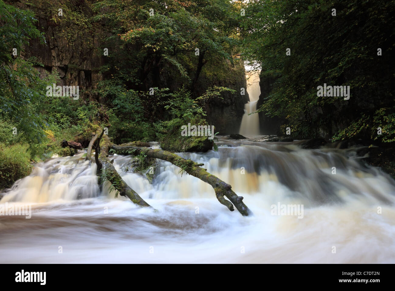 Catrigg Cascade de force au début de l'automne Stainforth Ribblesdale Yorkshire Dales UK Banque D'Images