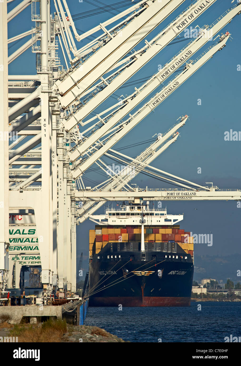 Les grues et les conteneurs de fret chargé avec au Port d'Oakland Banque D'Images