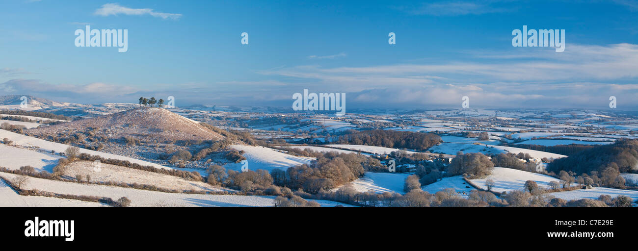 Colmers Hill, Nr Bridport, Dorset, UK Banque D'Images
