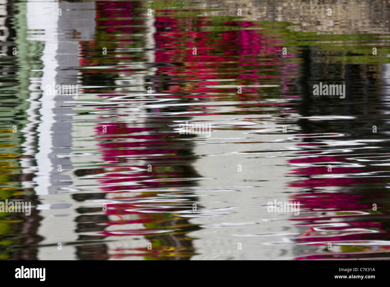 Réflexions de Duck Pond village finchingfield angleterre essex Banque D'Images