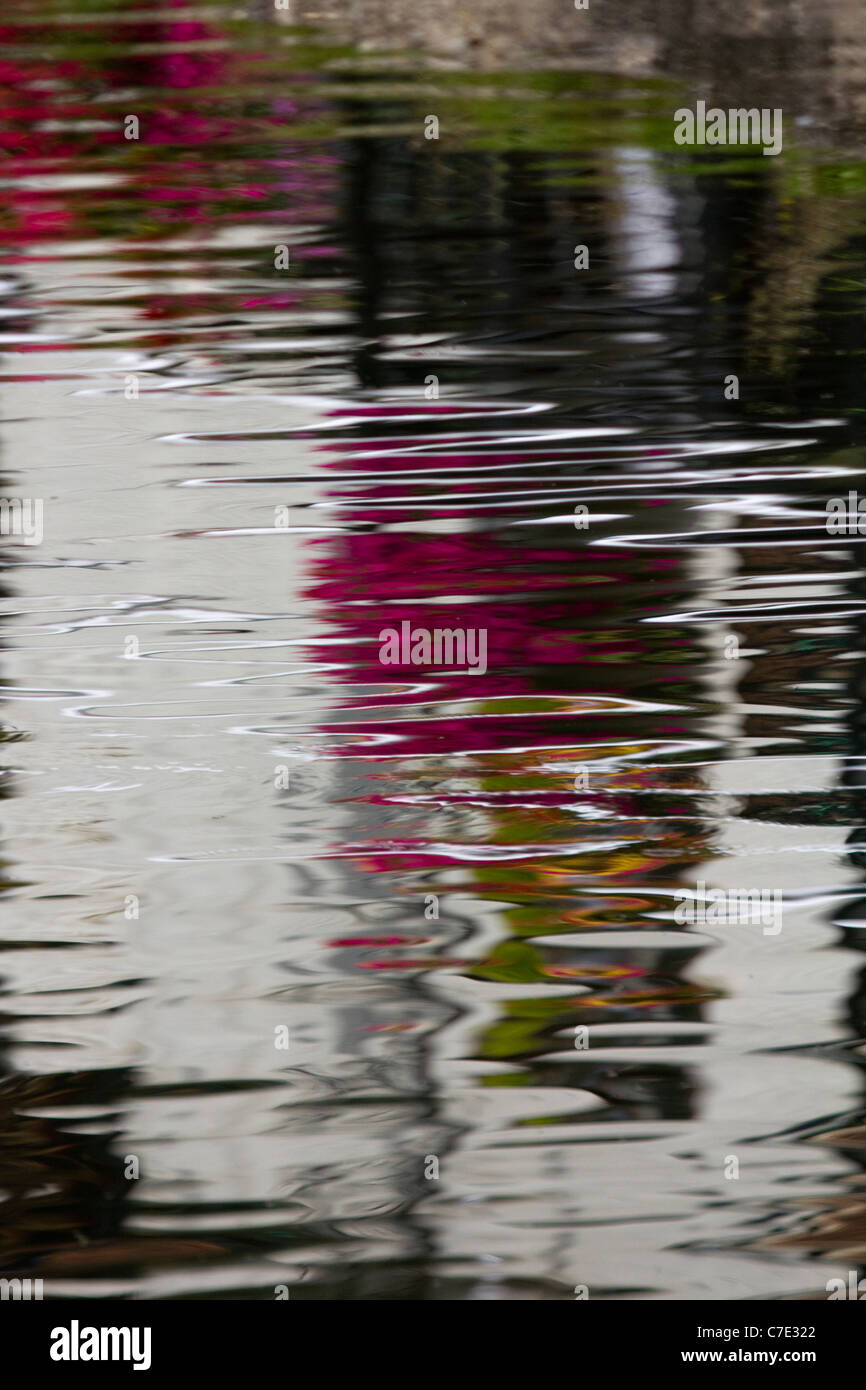 Réflexions de Duck Pond village finchingfield angleterre essex Banque D'Images