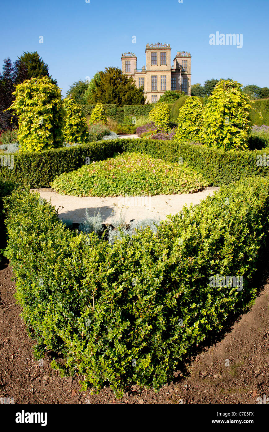 Courbant fort hedges et hop d'or se trouve dans le jardin d'herbes à Hardwick Hall dans le Derbyshire UK Banque D'Images