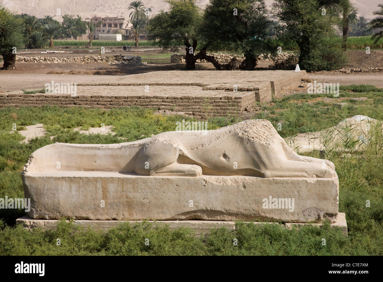 Sphinx Crocodile découvert par les fouilles du Temple d'Amenhotep III derrière les colosses de Memnon, Luxor, Egypte Banque D'Images