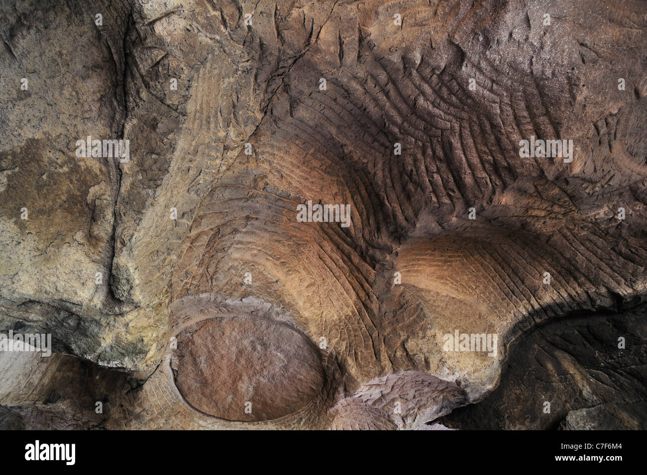 Des rainures et des cercles dans la sculpture de rochers de grès de meules à la Hohllay cave en Berdorf, Mullerthal, Luxembourg Banque D'Images