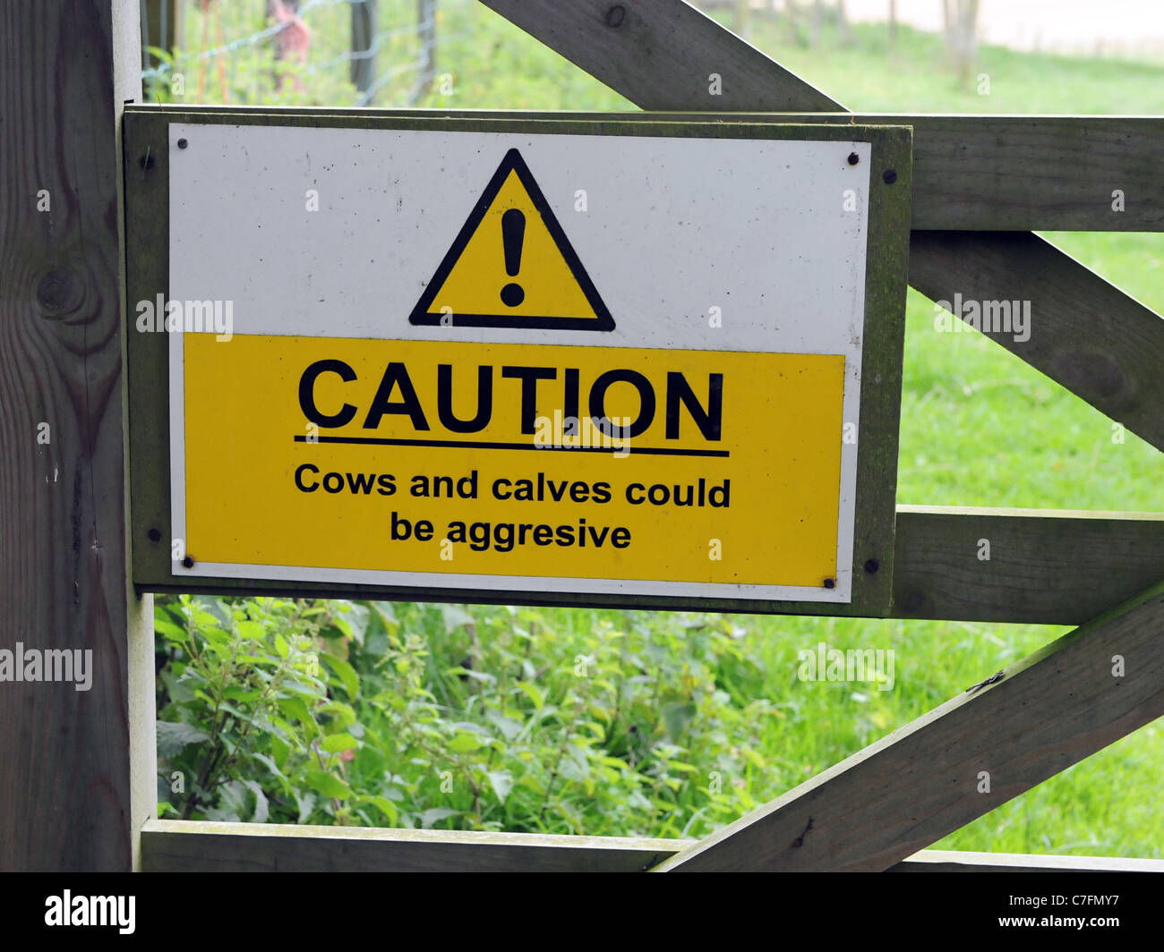 Un signe d'avertissement que peut facturer les vaches agressif Banque D'Images