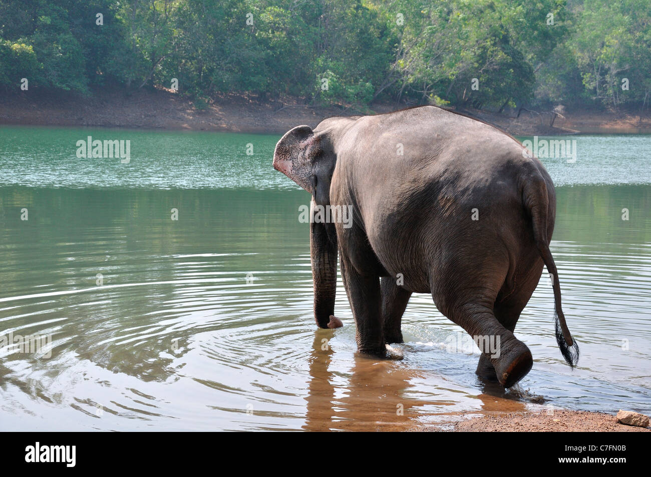 Sanctuaire de periyar Banque de photographies et d’images à haute