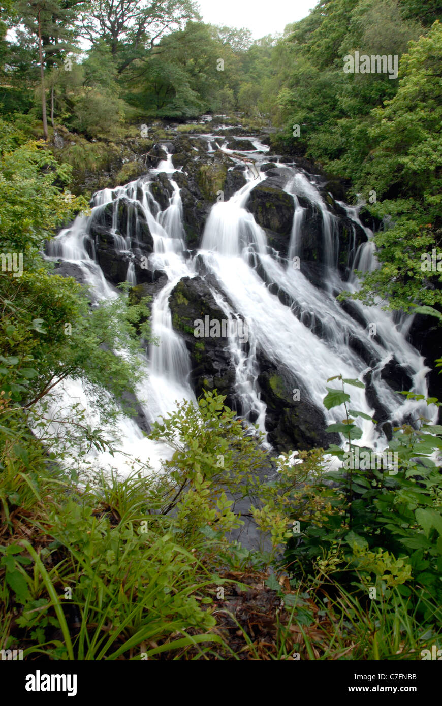 Swallow Falls près de Betws y Coed à Snowdonia, le nord du Pays de Galles Banque D'Images