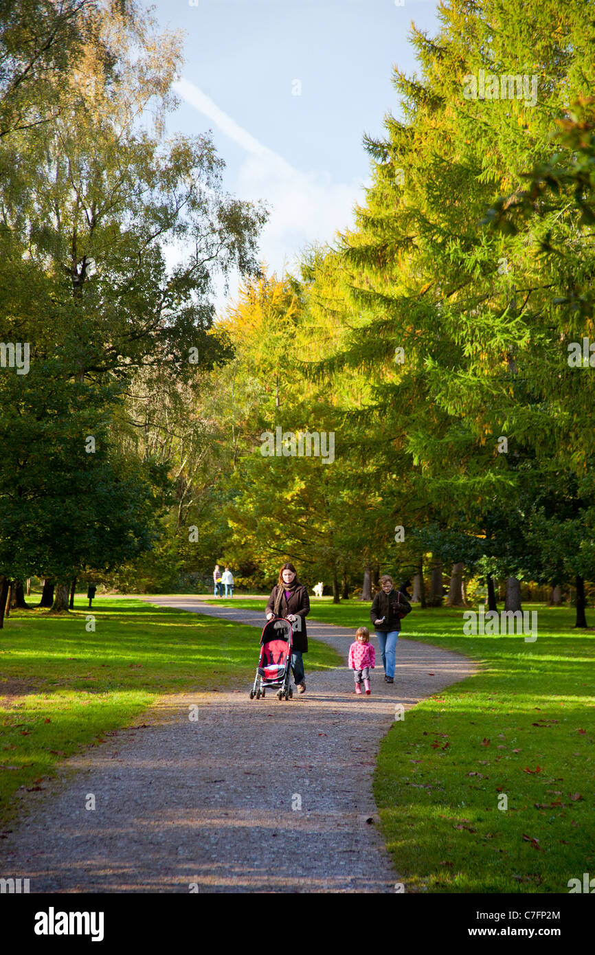 Une famille se promenant dans l'automne couleur à Westonbirt Arboretum dans le Gloucestershire, Angleterre, RU Banque D'Images