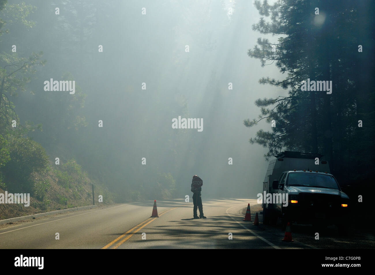 Un homme tenant un panneau d'arrêt pour diriger le trafic sur une route forestière remplie de fumée. Californie, USA. Banque D'Images