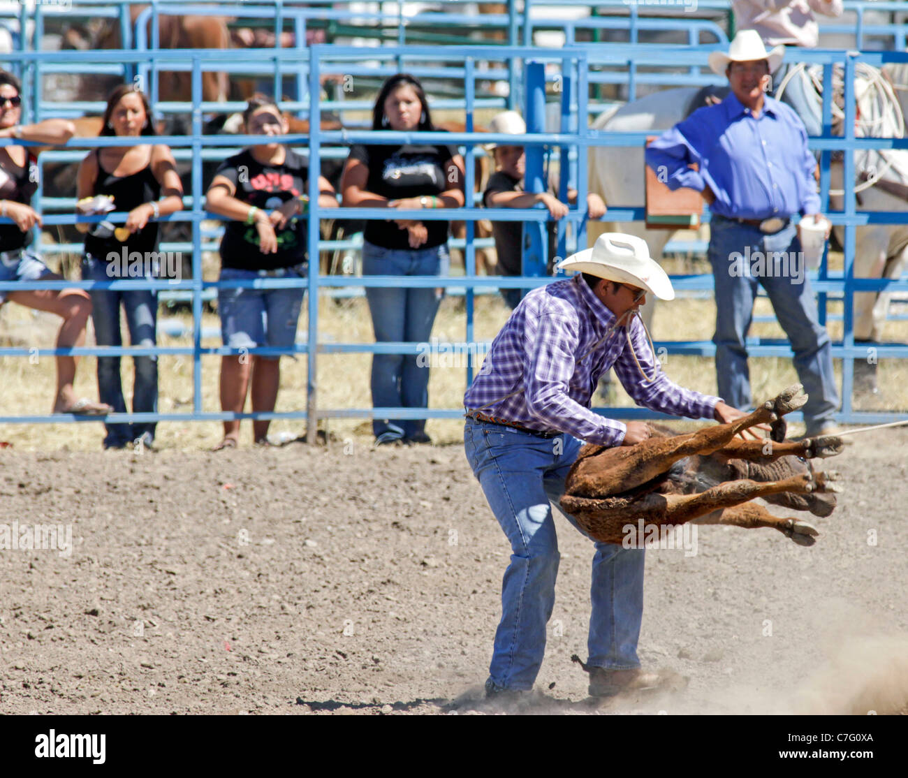 Au cours de la Concurrent de retenue veau cas de la rodeo tenues sur le Fort Hall au Maryland Banque D'Images