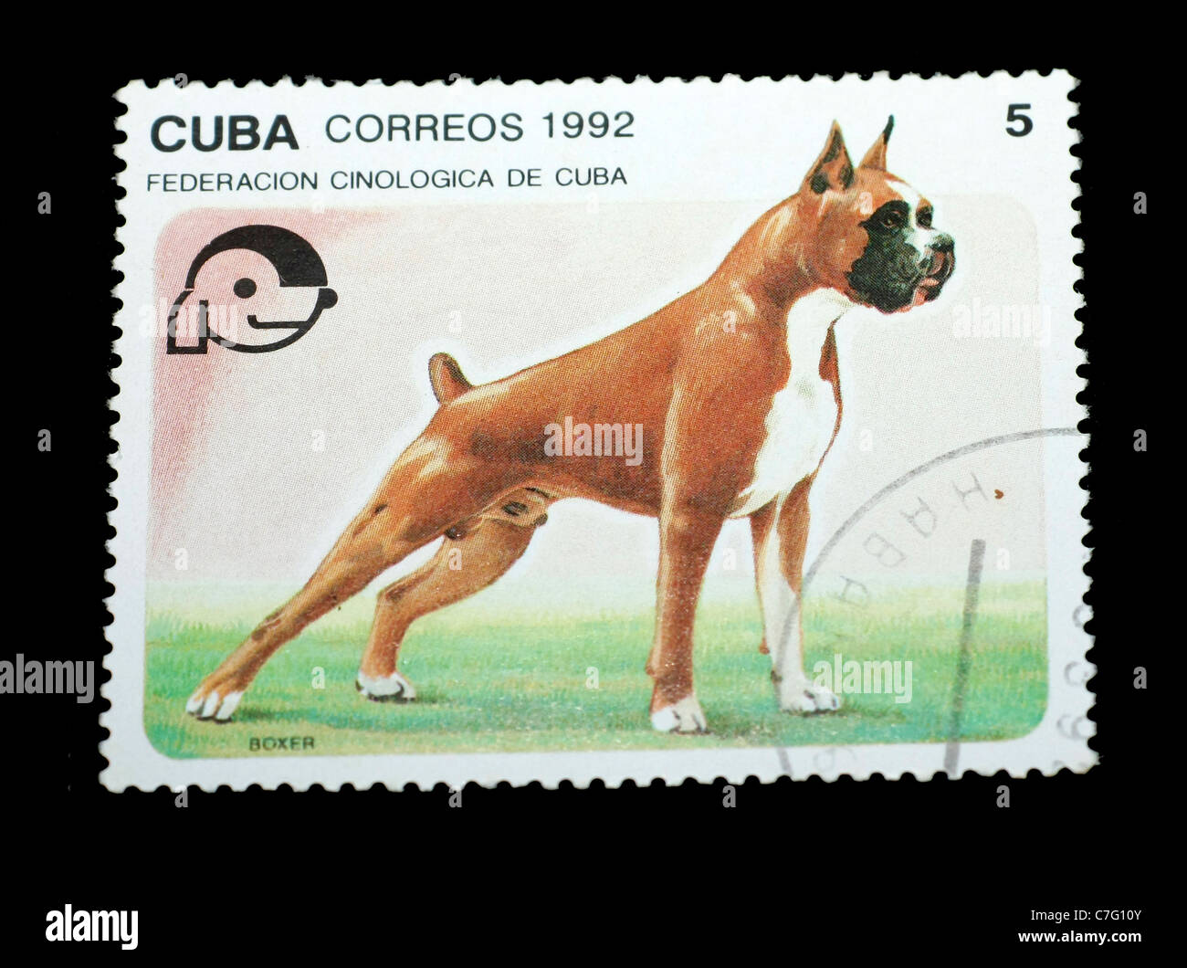 Timbre-poste de Cuba de l'affichage d'une race de chien Boxer Banque D'Images