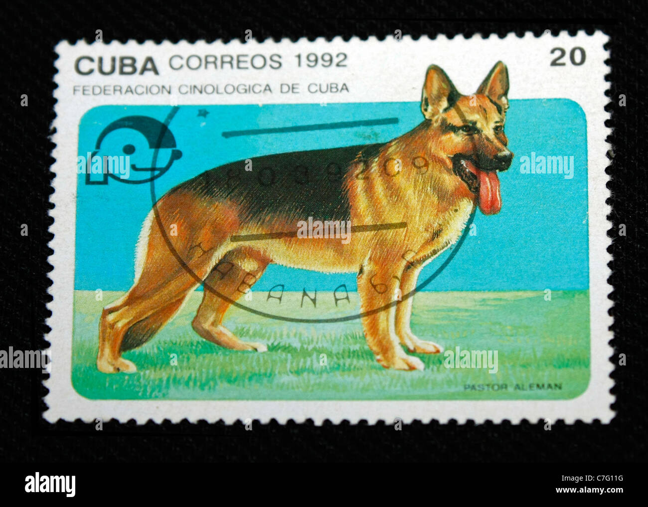 Timbre-poste de Cuba de l'affichage d'une race de chien Pastor alemán, berger allemand ou alsacien Banque D'Images
