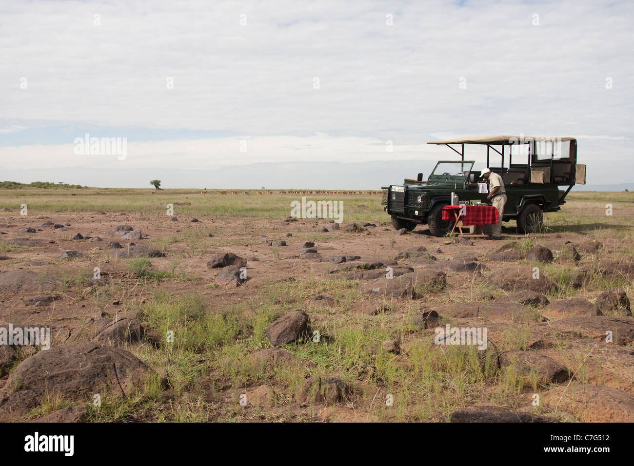 Membre de la Masai Mara National Reserve, Kenya, Afrique,. Photo:Jeff Gilbert Banque D'Images
