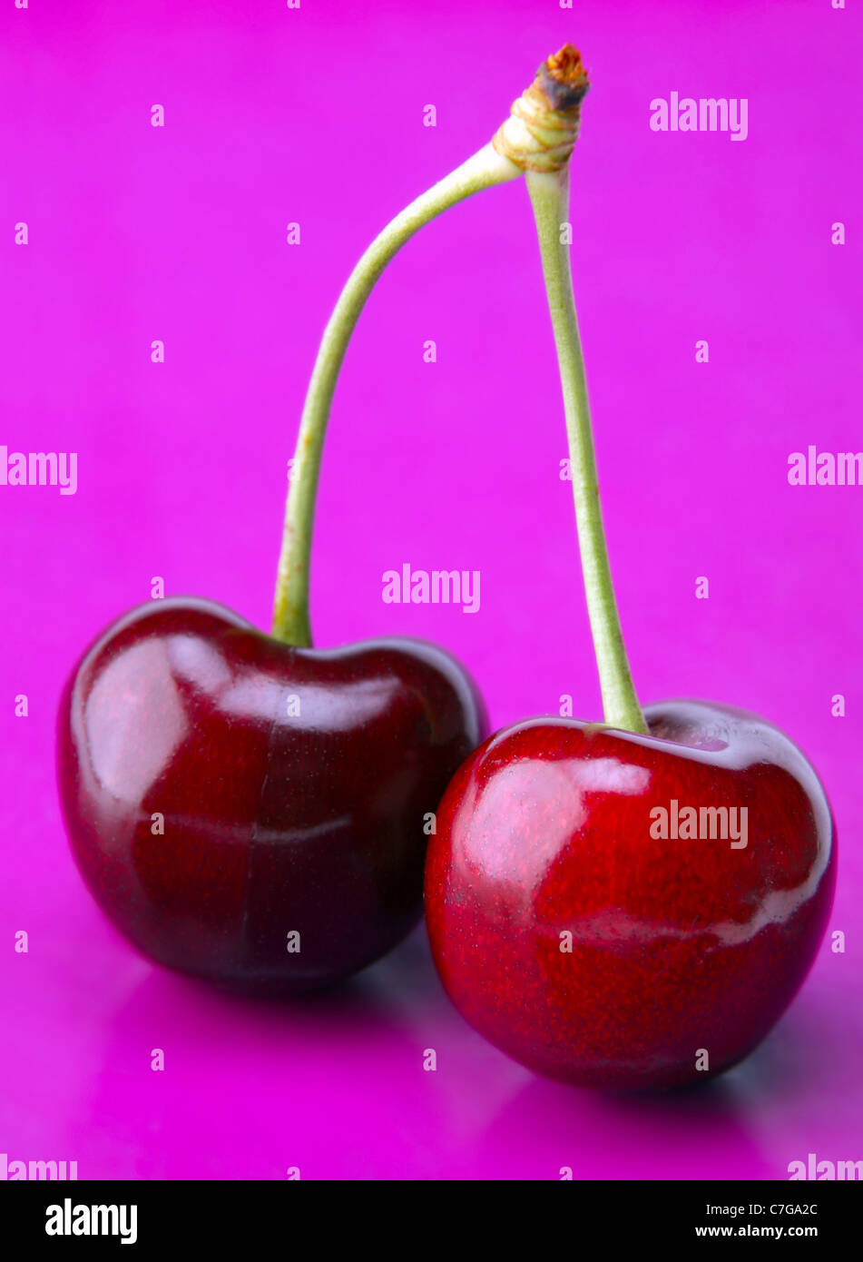 Cerisier fruit Banque de photographies et d’images à haute résolution ...