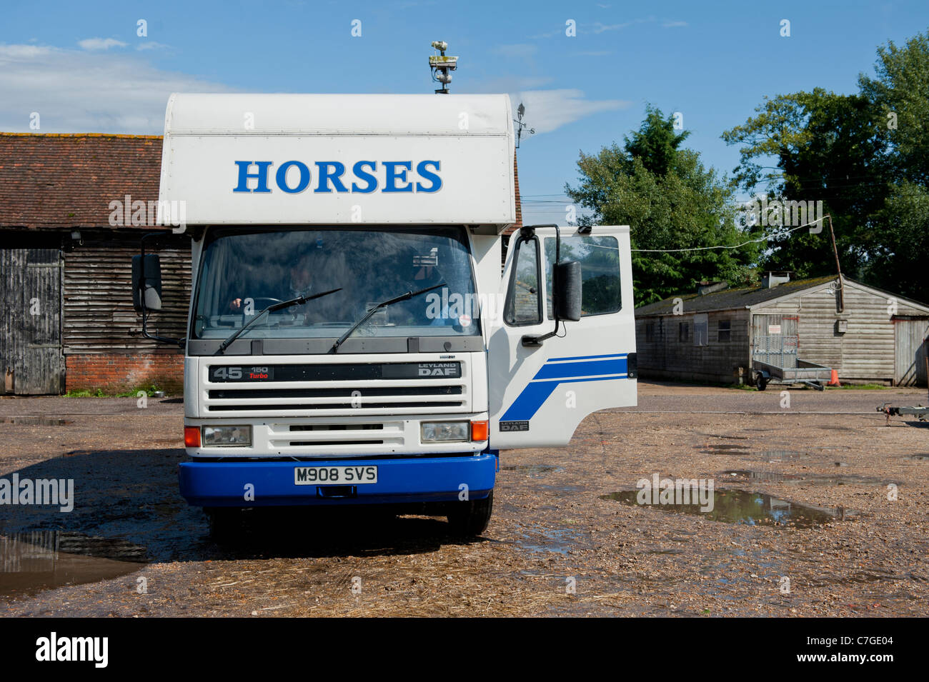 Box cheval Banque D'Images