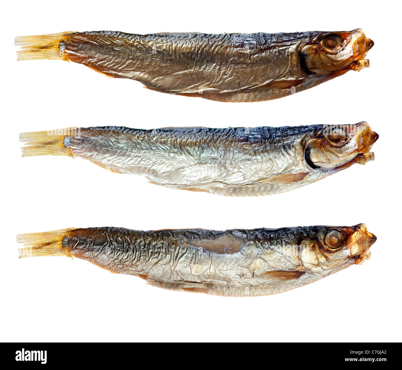 Détail de la sardines sur fond blanc - macro Banque D'Images